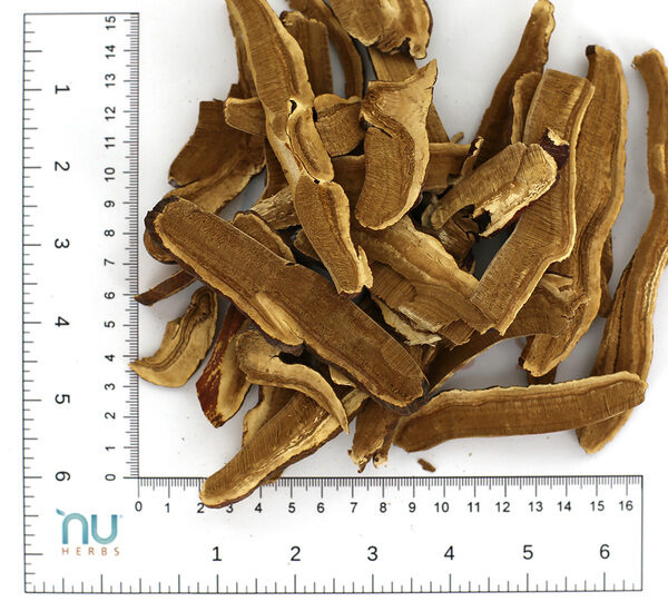 U12860-NU200501LZ(P)-YouJi-HongLingZhiPian-thumb