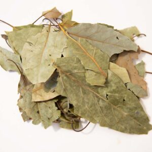 de9c351a-0184-430e-8682-bc92f322530b.bec7e59aff03a234721eed82e93d55aa